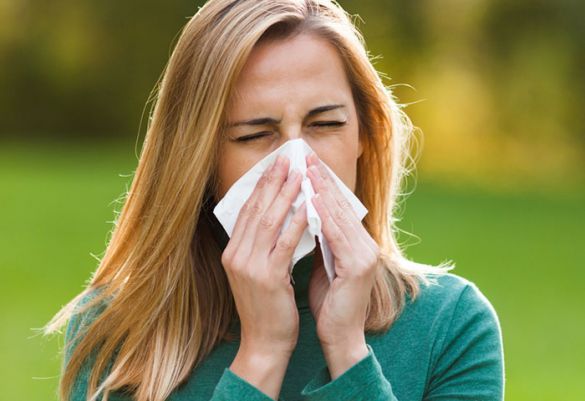 Symptome einer Pollenallergie können beispielsweise Niesattacken oder Fliessschnupfen sein.
