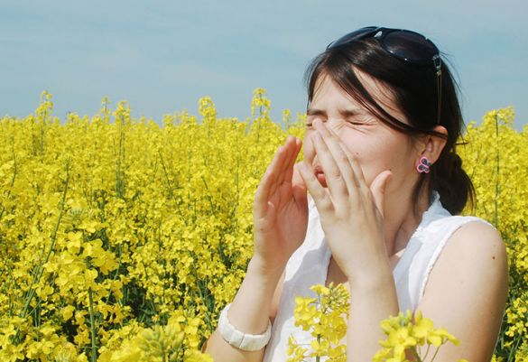 Nießattacken können auf eine Pollenallergie hinweisen.
